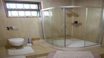Executive Suite | Bathroom | Free toiletries, towels, toilet paper