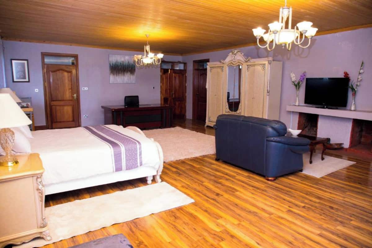 Executive Suite | 1 bedroom, free WiFi