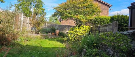 House | Property grounds