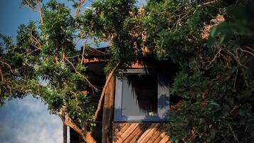 Double Room | Pillowtop beds, in-room safe, individually decorated