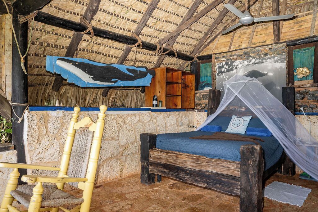 A rustic room with a bed, a wooden chair, a mosquito net, and a wall with a shark painting.