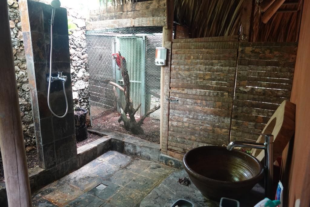 Une salle de bain aux murs de pierre, dotée d’une douche, d’un grand lavabo et d’une porte en bois rustique.