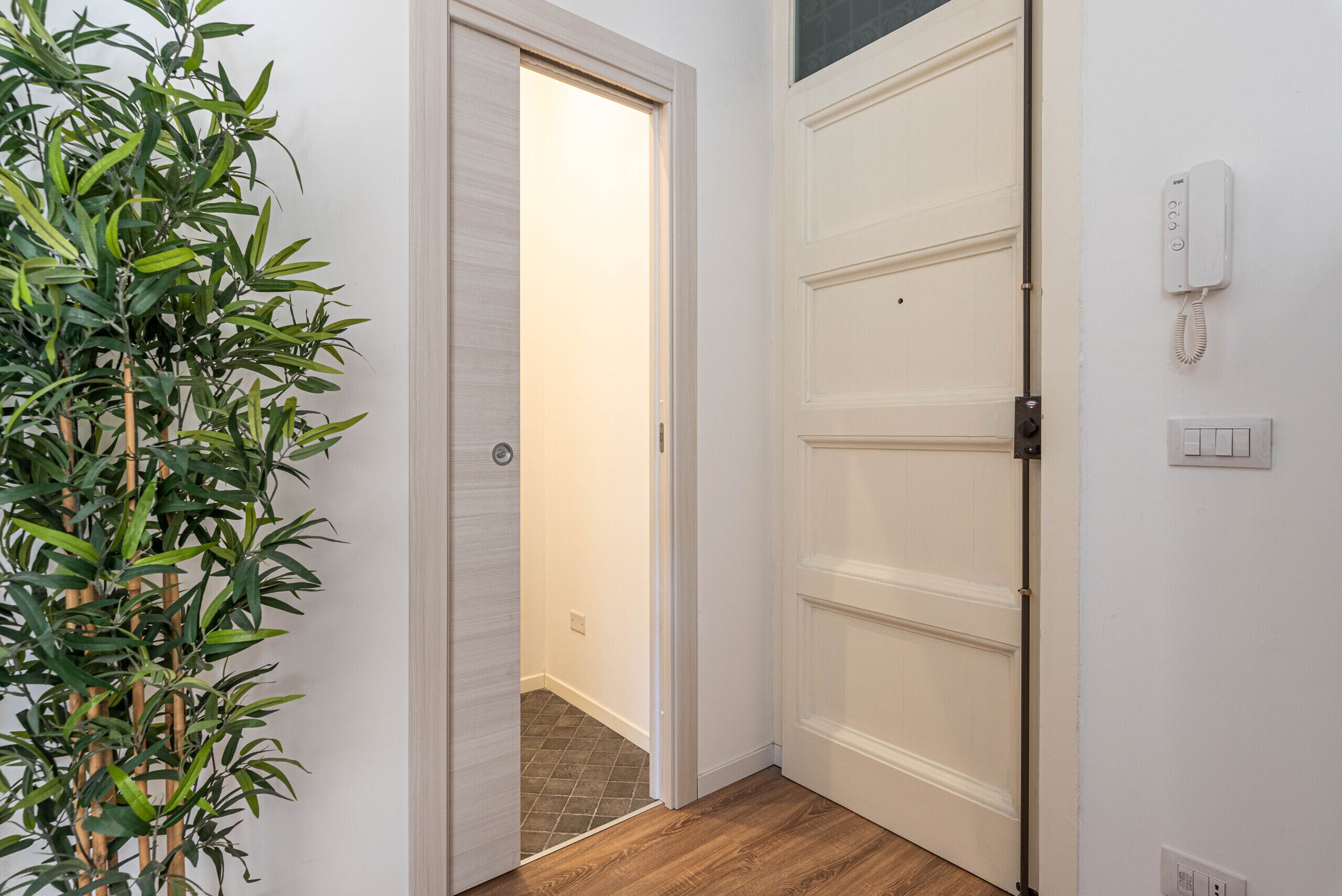 Un couloir avec une plante en bambou, une porte blanche et un téléphone fixé au mur.