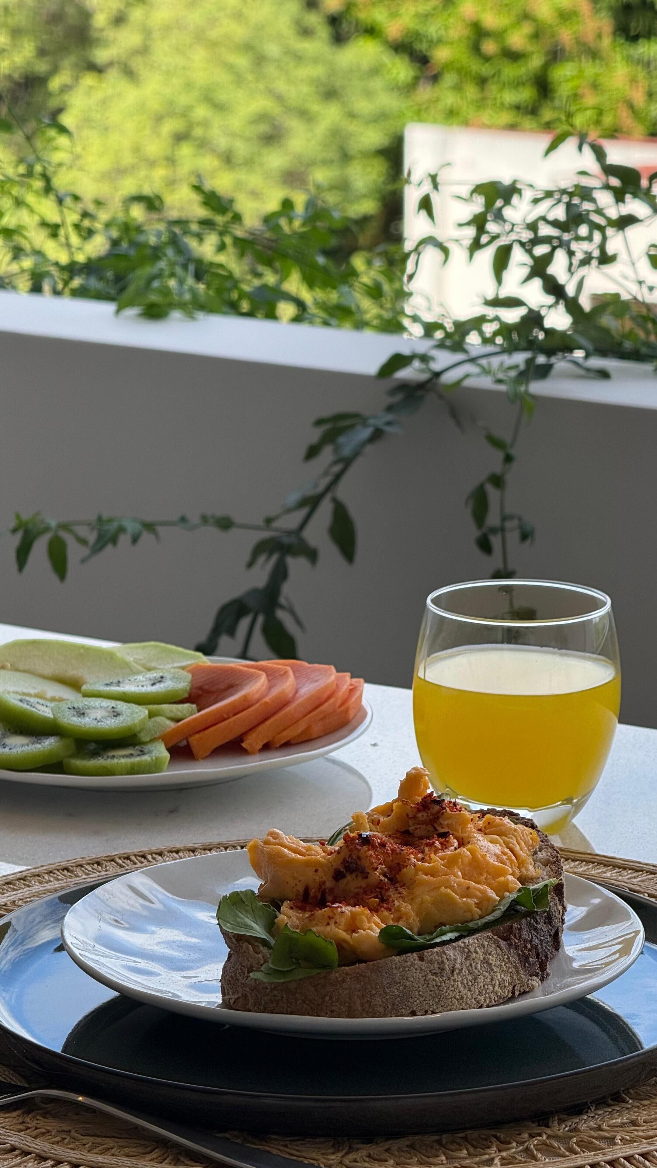 Eine Mahlzeit mit einem Sandwich, geschnittenem Obst und einem Glas Saft auf einem Tisch mit Blick auf Grünfläche.