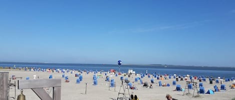 Playa en los alrededores