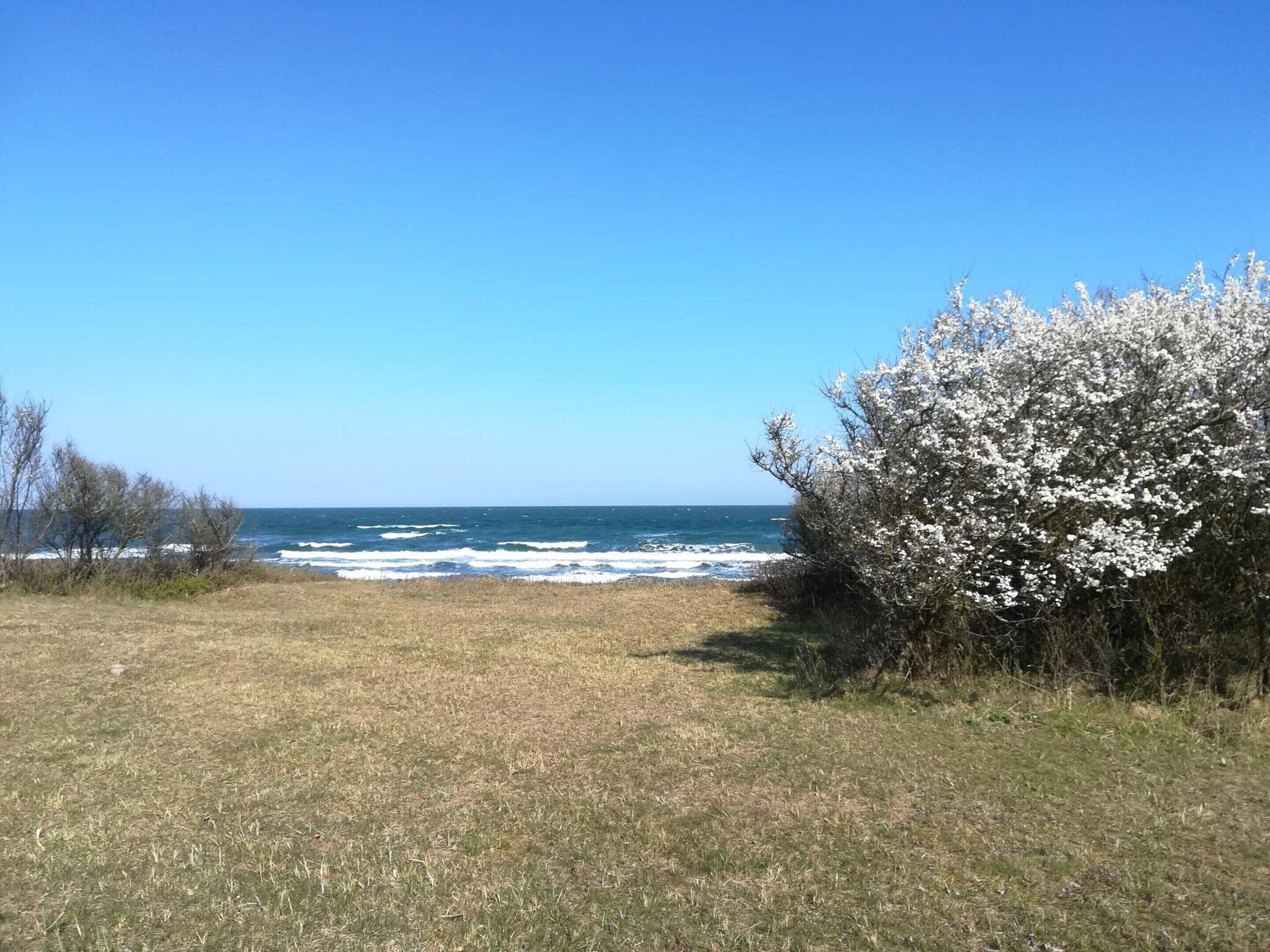 Vista al agua