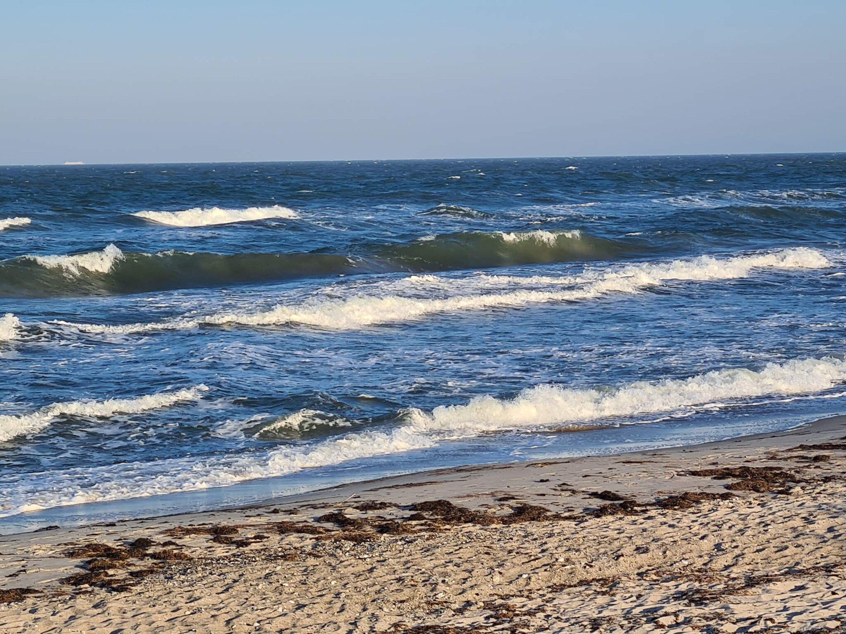 A beach with waves and seaweed on the shore.