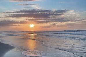 Beach - Lush Condo- Close to Tennis Court, Pool, Beach and Golf (Hilton Head)