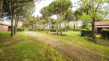 Una propietat rural amb un camí de terra, gespa verda i arbres.