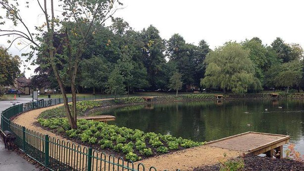 Een park met een vijver, een groen hek en bomen.