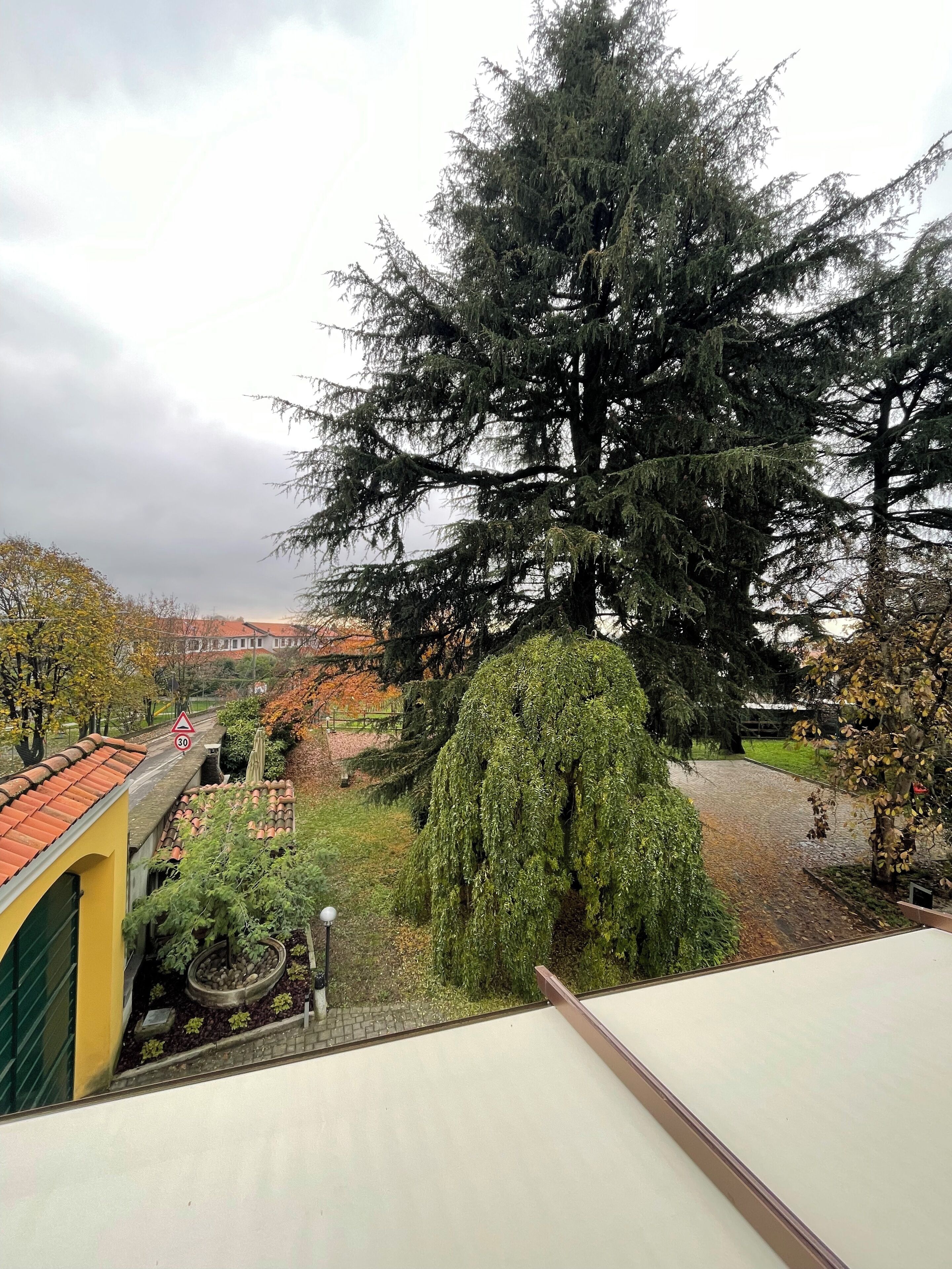 Vista dalla finestra su un giardino con un albero grande, un edificio giallo e un sentiero in pietra.