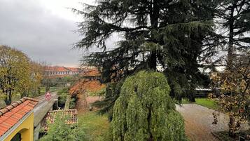 Vista dalla finestra su un giardino con un albero grande, un edificio giallo e un sentiero in pietra.