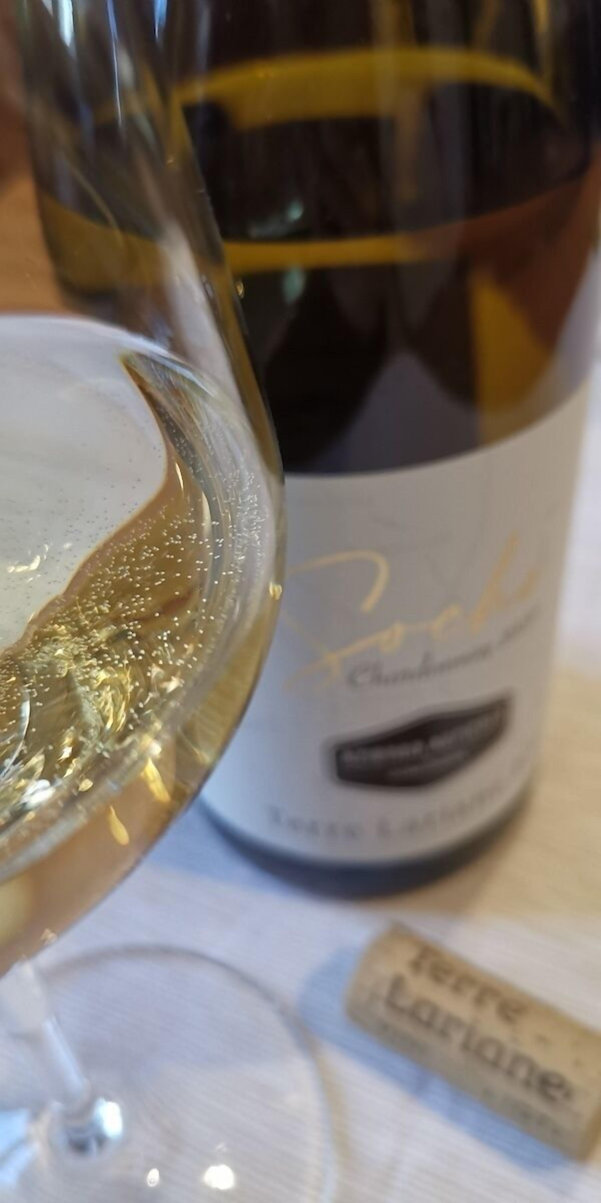 Una bottiglia di vino con un'etichetta che riporta "Terre Lariane".