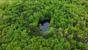 Ett flygbildsbild av en tät skog med en central vattenyta som omges av träd.
