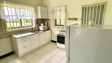 Apartment | Private kitchen | Fridge, microwave, oven, stovetop