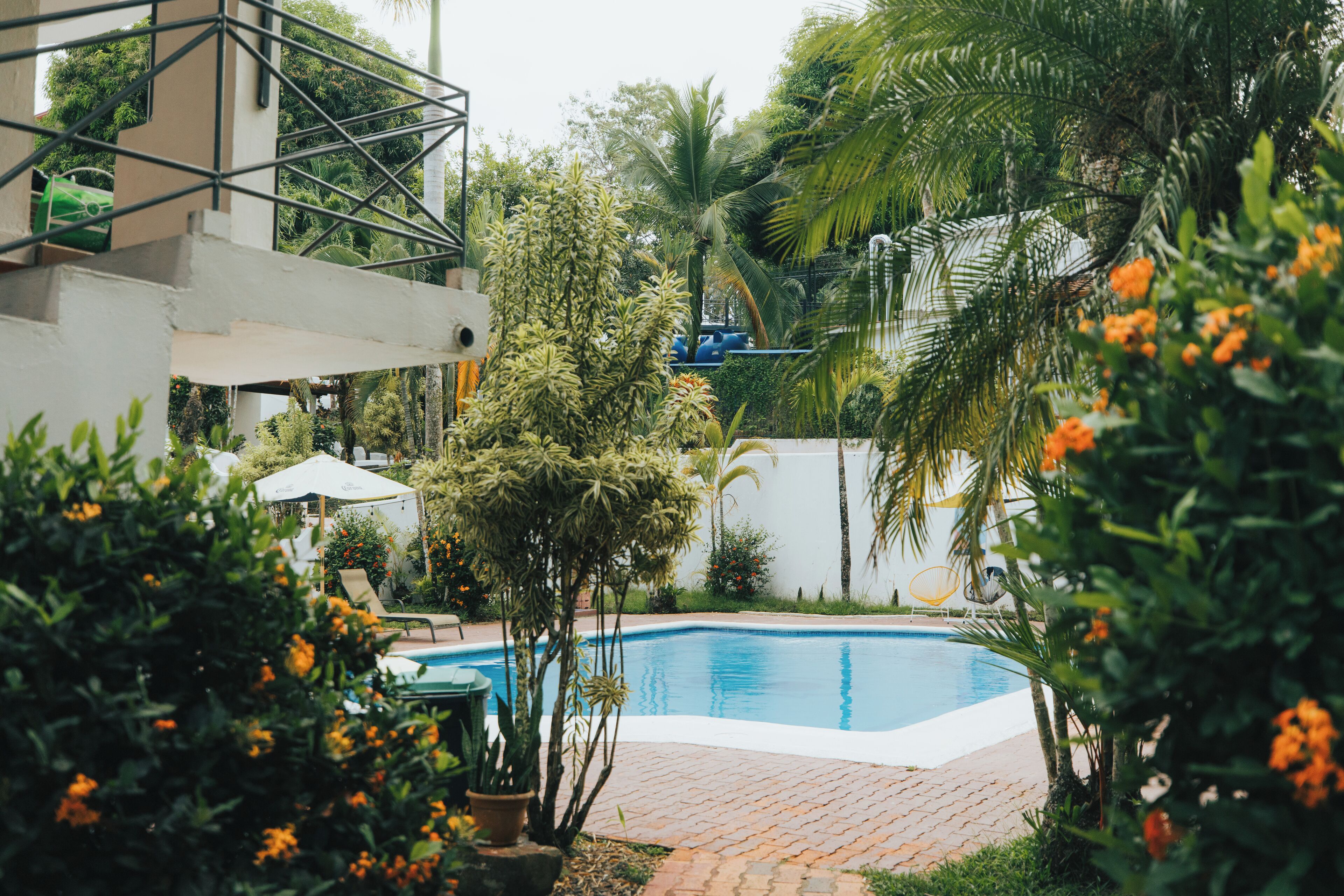 Foto - Alma Vida Hotel