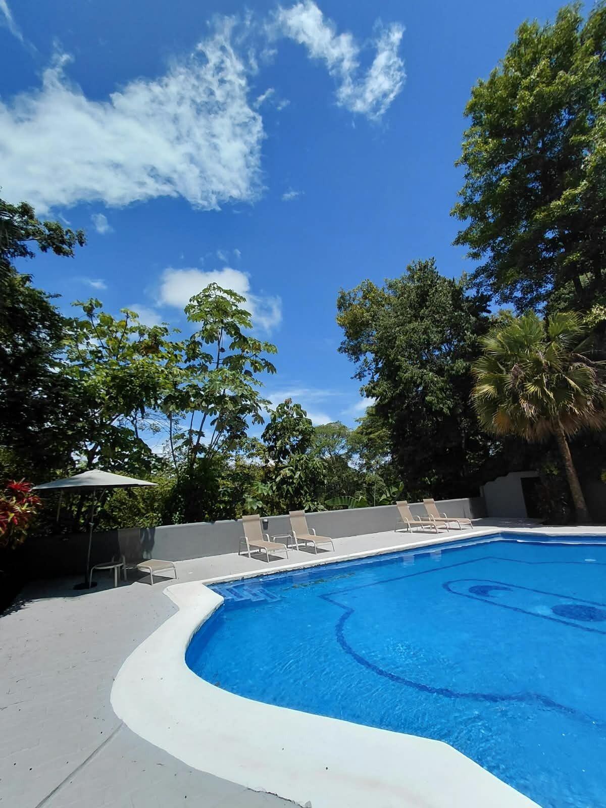 Foto - Alma Vida Hotel