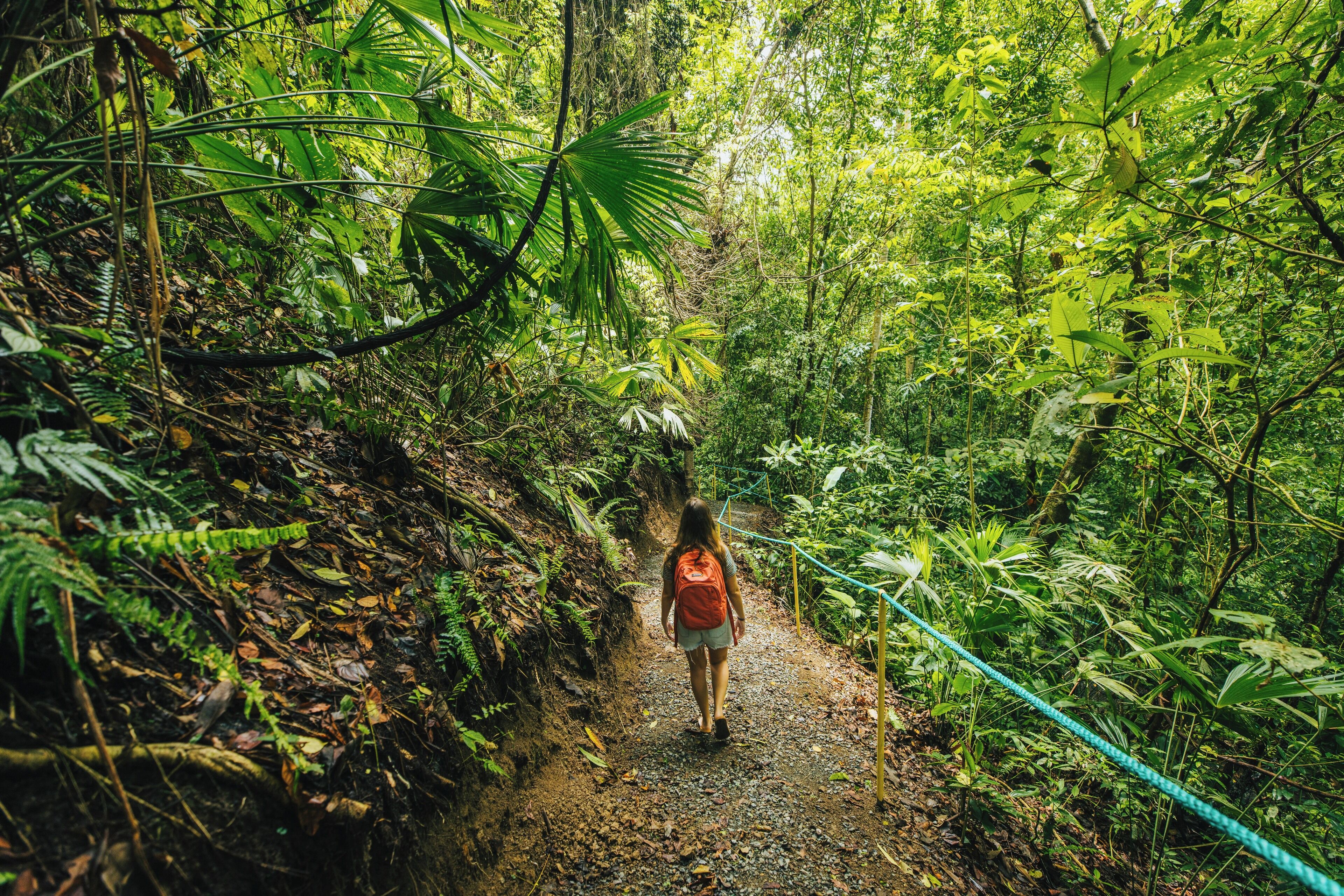 Foto - Alma Vida Hotel