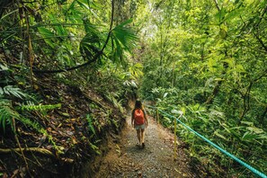 Garden - Alma Vida Hotel (Quepos)