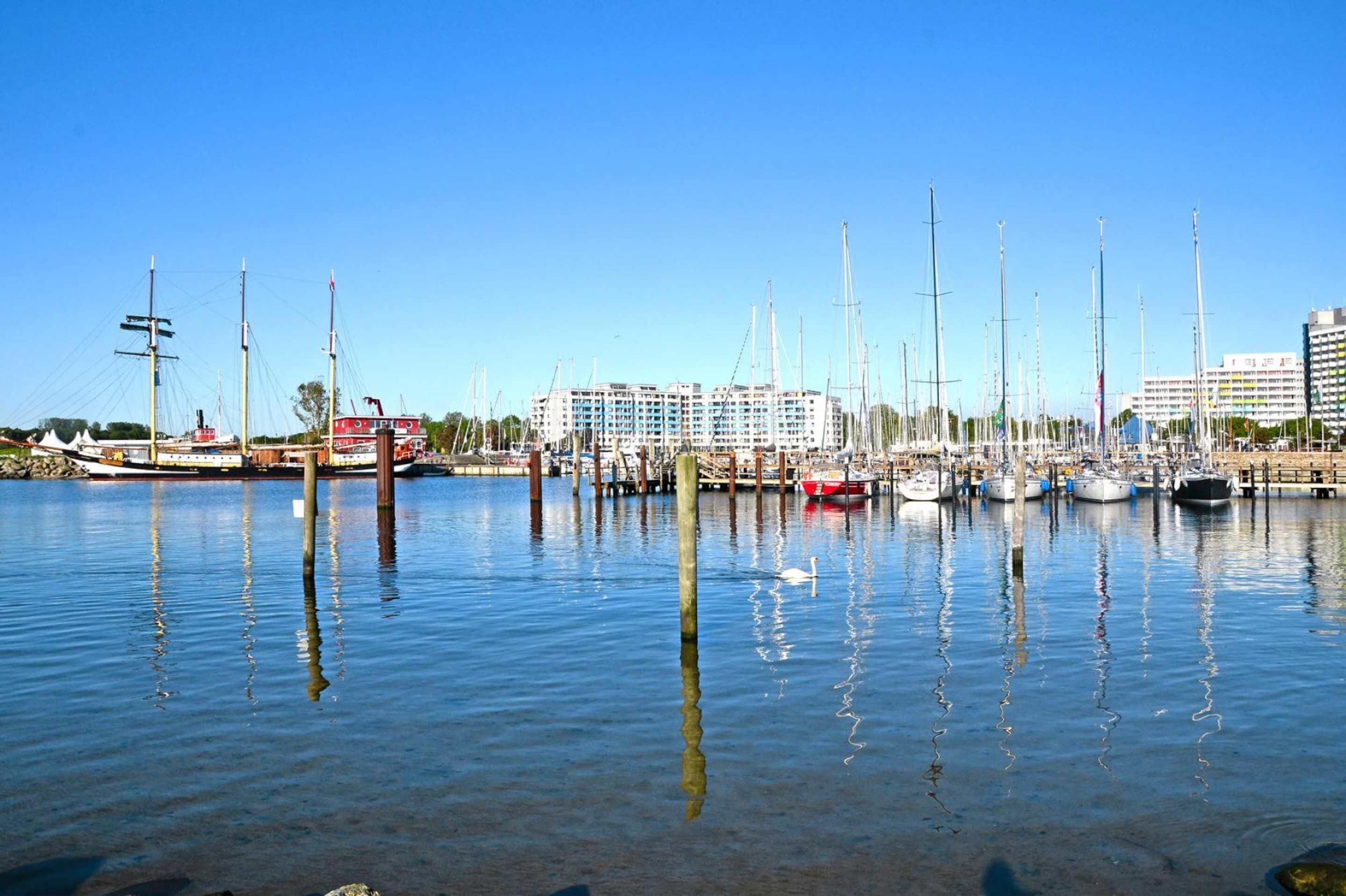 Un puerto deportivo con varias embarcaciones amarradas, un edificio grande al fondo y un cielo azul despejado.