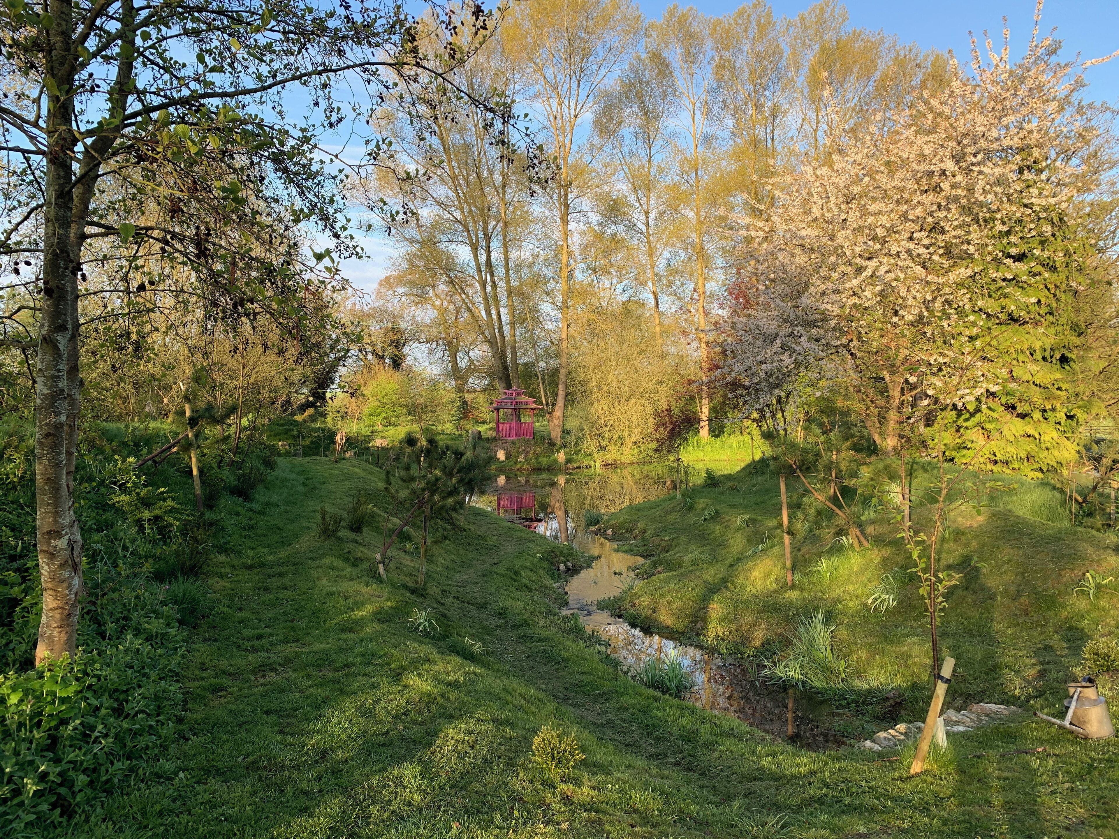 Un jardín exuberante con un estanque, una estructura de madera y diversas especies de árboles.
