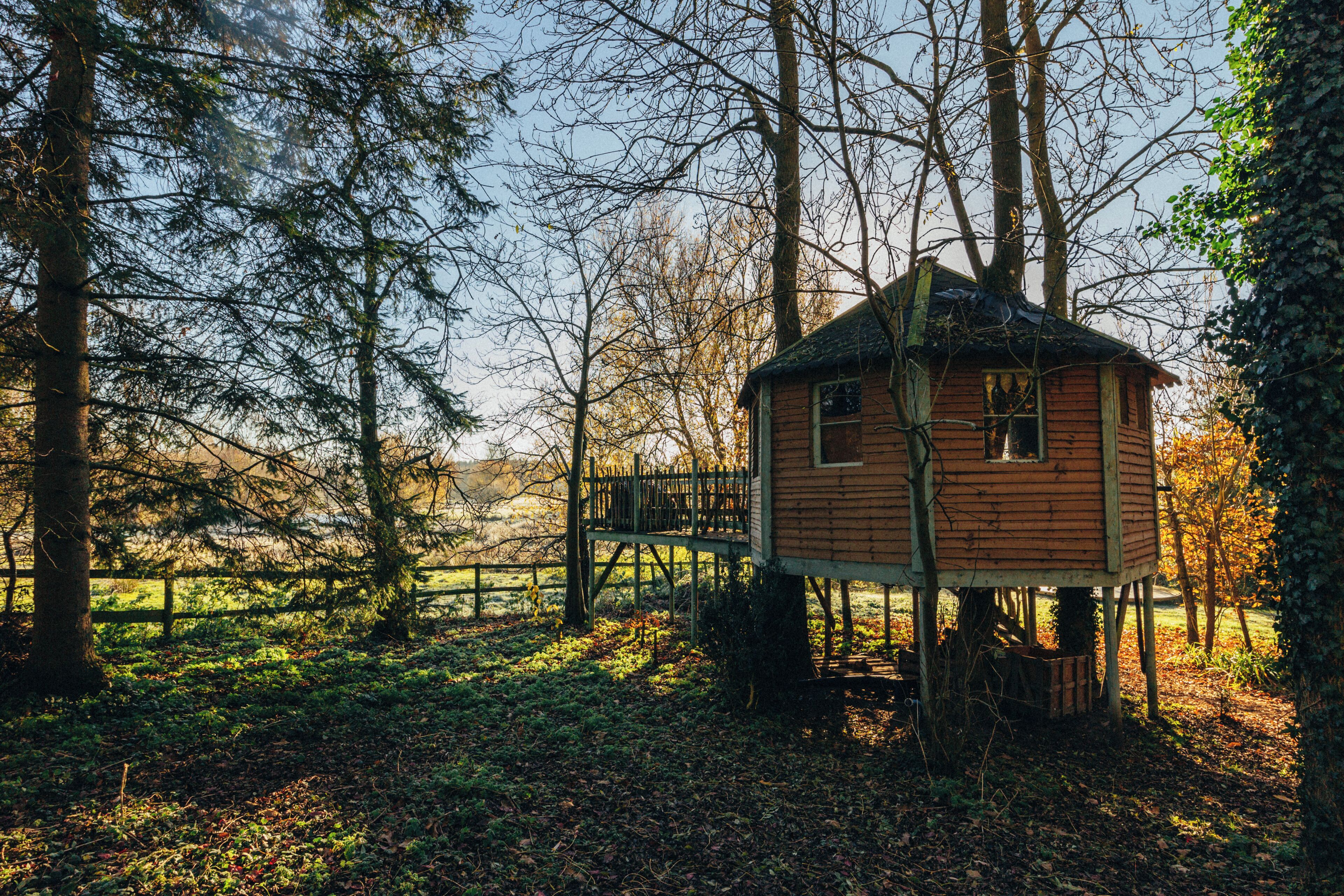 A wooden treehouse with a small deck, surrounded by trees and a fence in a wooded area.