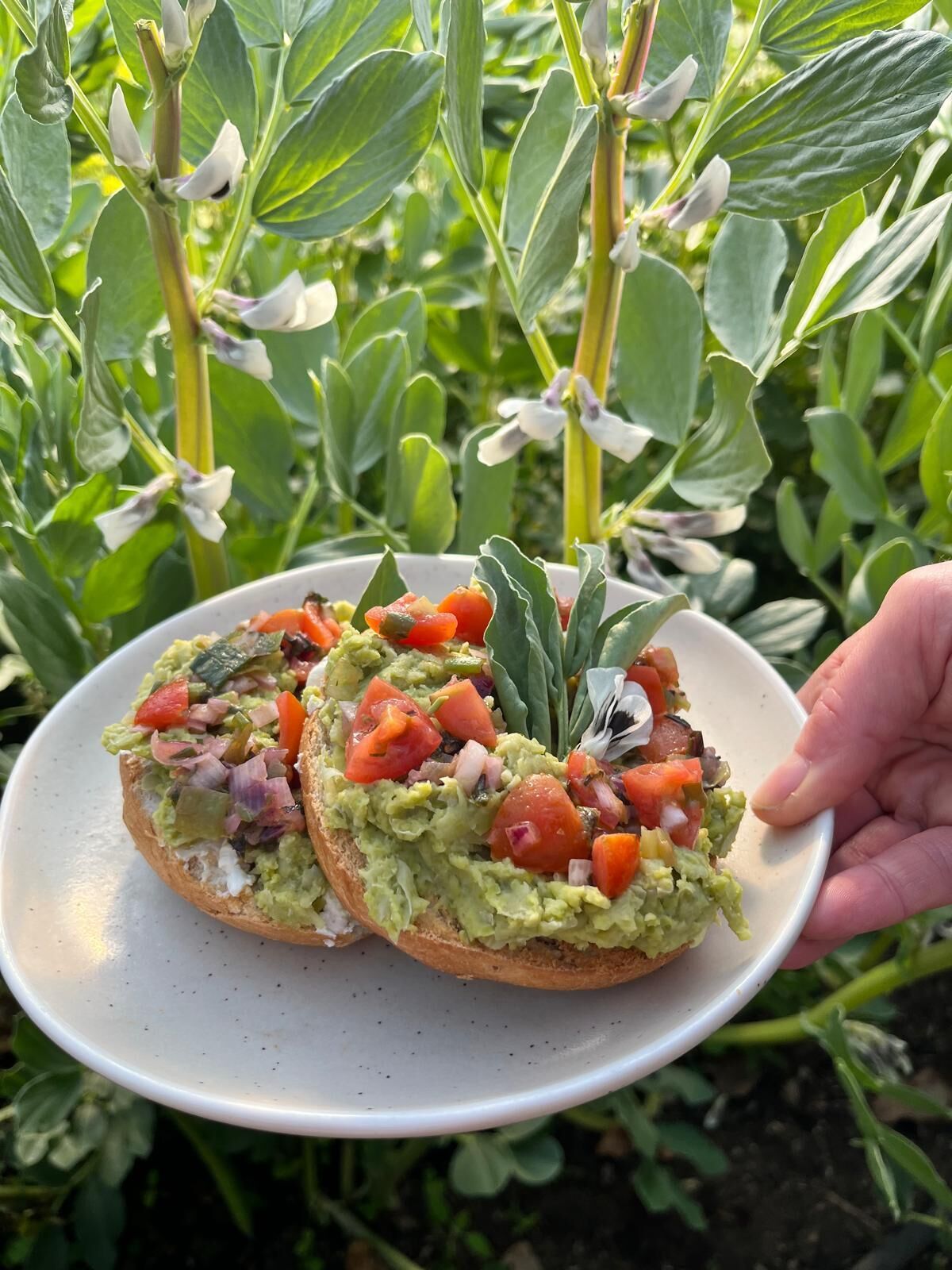 A plate with two open-faced sandwiches topped with avocado, tomatoes, and onions, held by a hand.