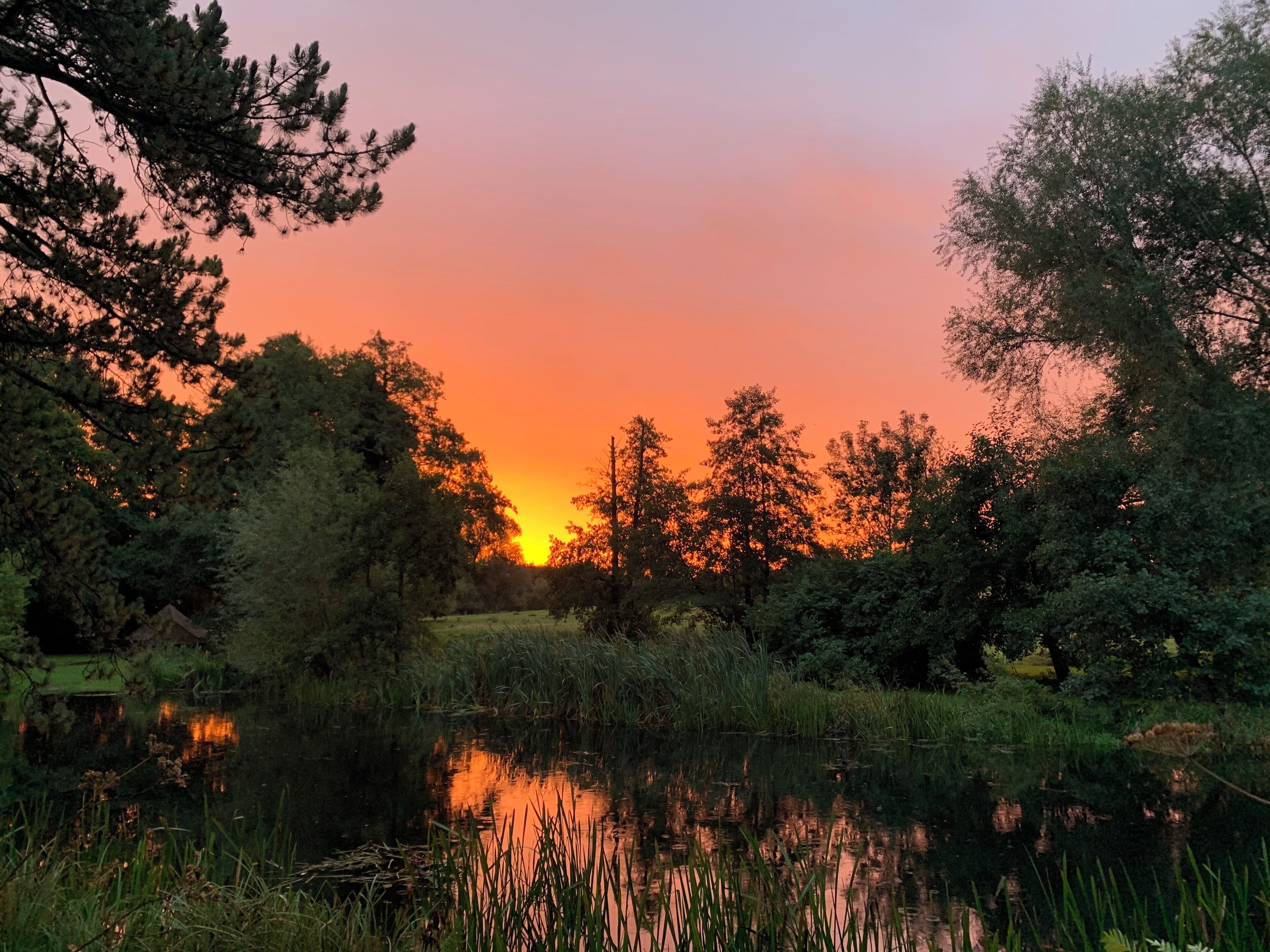 Een rustige meer bij zonsondergang, omringd door bomen.
