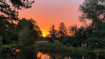 A sunset over a calm lake surrounded by trees.