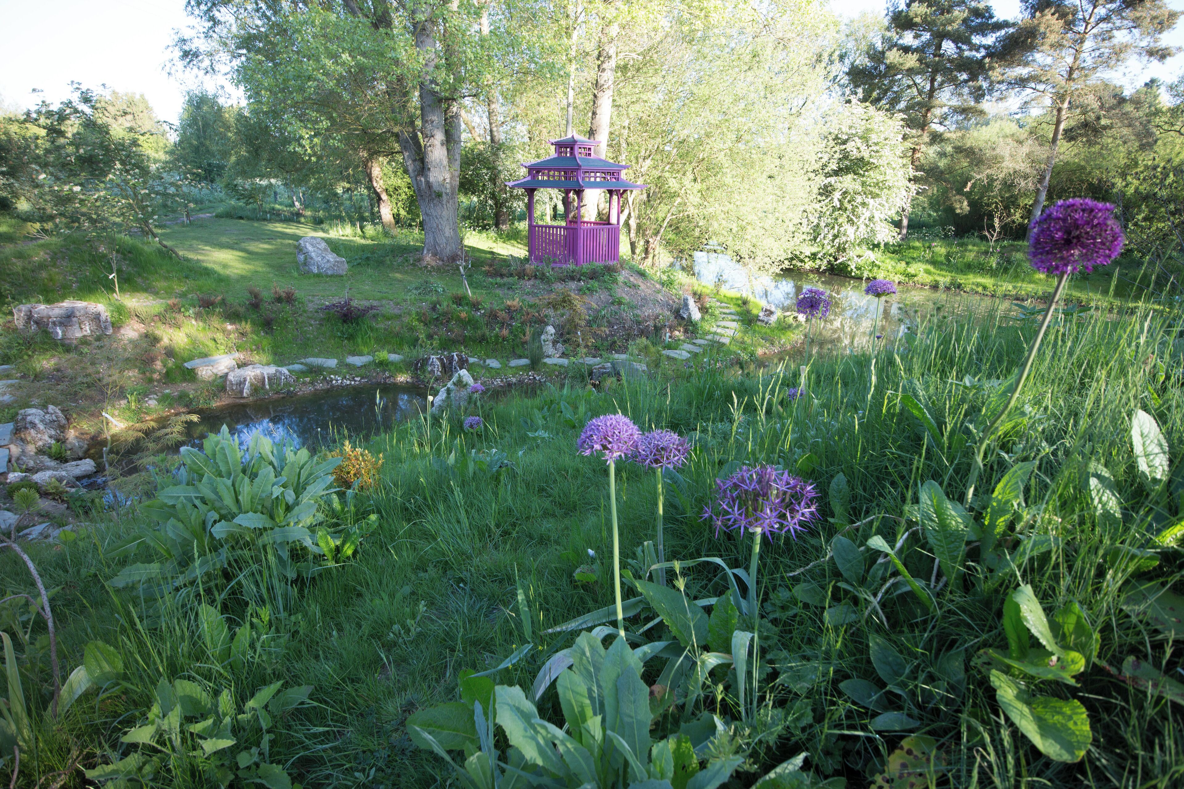 Un jardin agrémenté d’un kiosque, d’un bassin et de diverses plantes.
