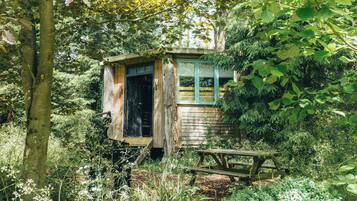 A rustic wooden cabin with a window and a door, surrounded by dense foliage.