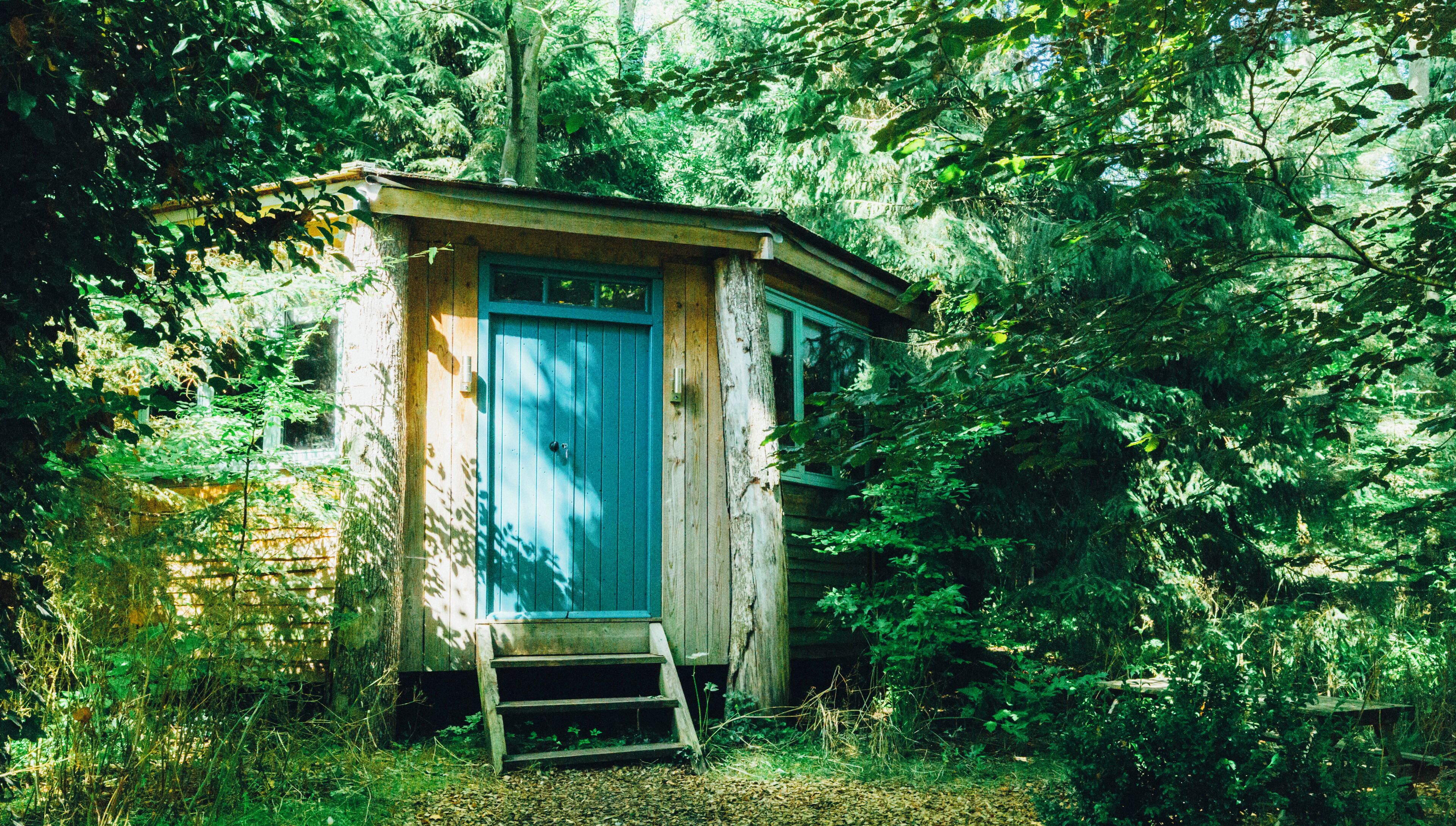 A small wooden cabin with a blue door, surrounded by dense forest.