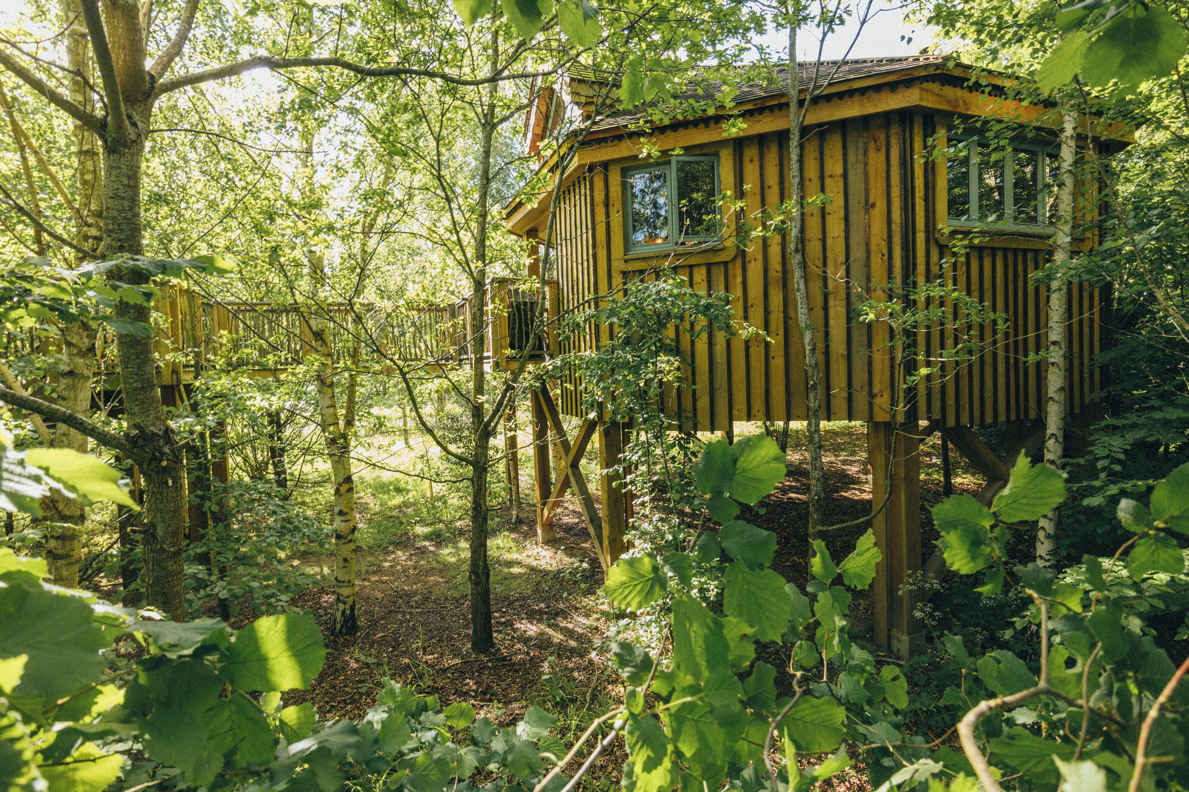 Una cabaña de madera rodeada de un bosque tupido.