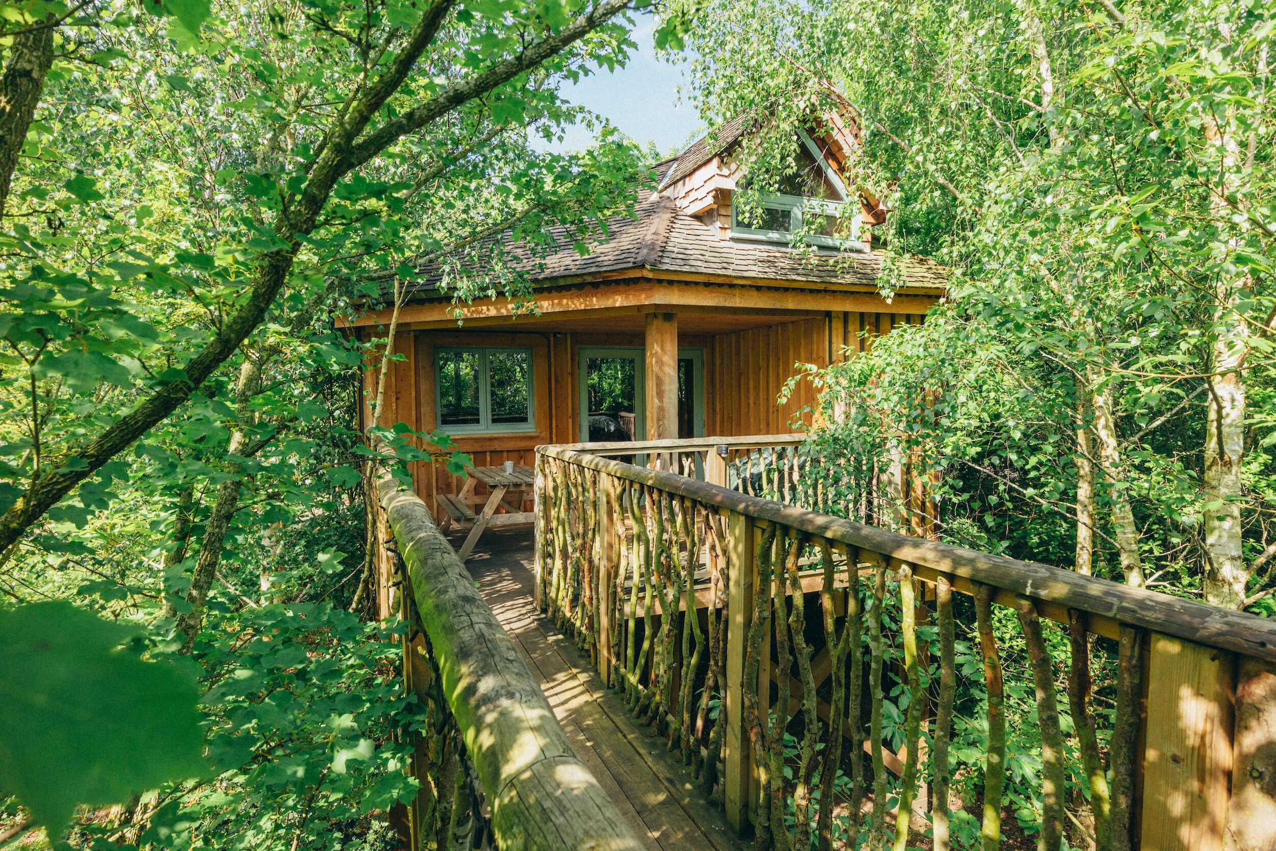 A wooden cabin with a deck, surrounded by dense forest.