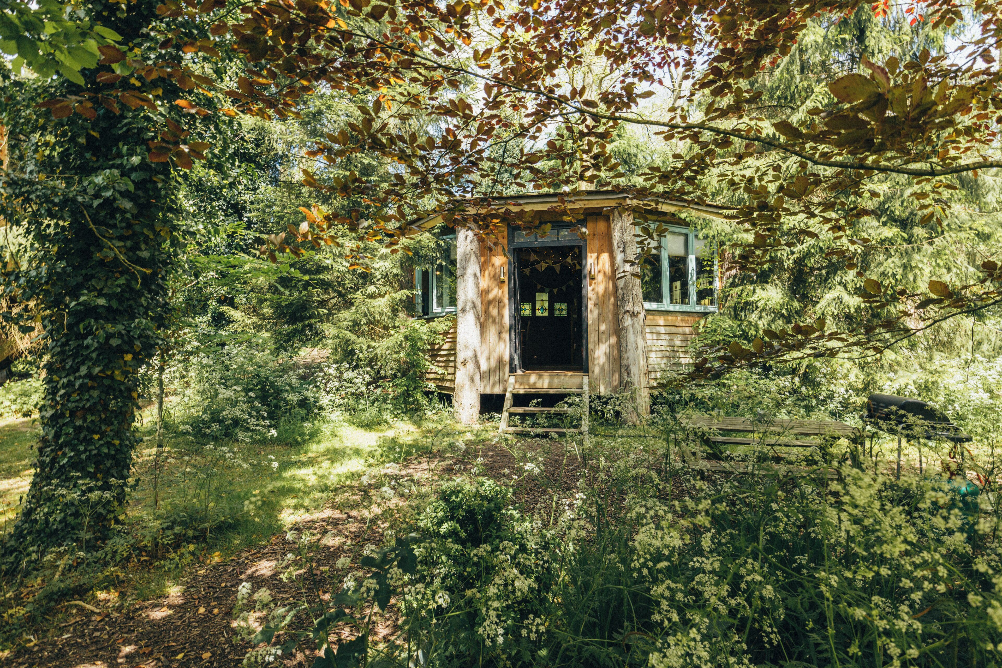 A rustic wooden cabin surrounded by dense foliage.
