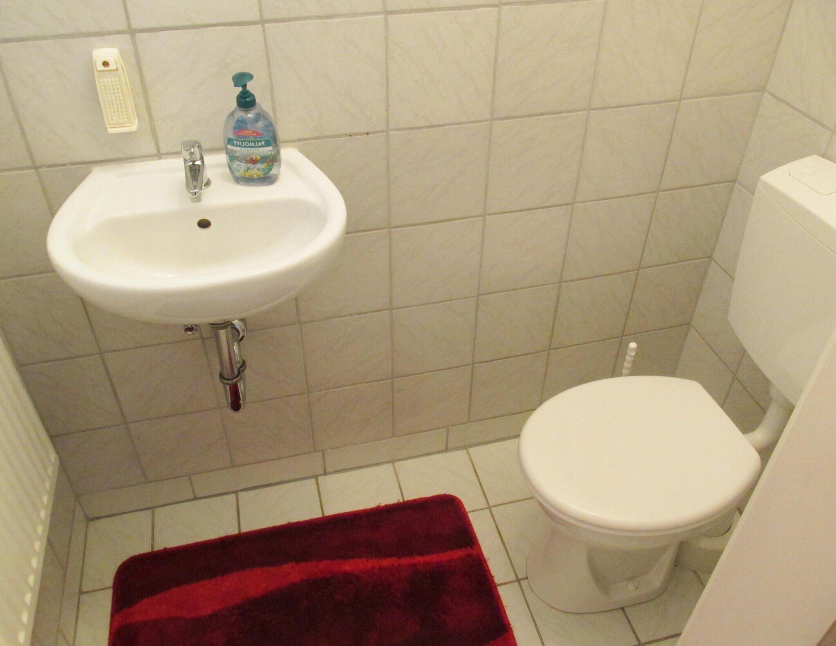 Une salle de bain avec un lavabo blanc, des toilettes et un tapis de bain rouge.