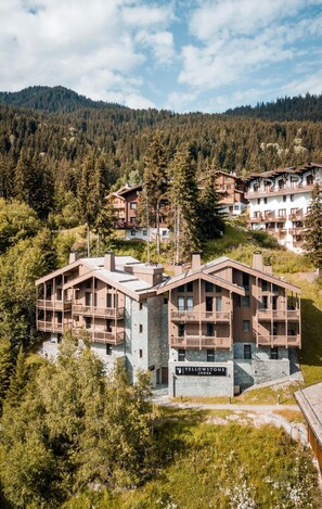 Exterior - Chalet, wifi, 50m from resort center, view ski slopes, terrace, balcony, fireplace or stove, parking (Courchevel)