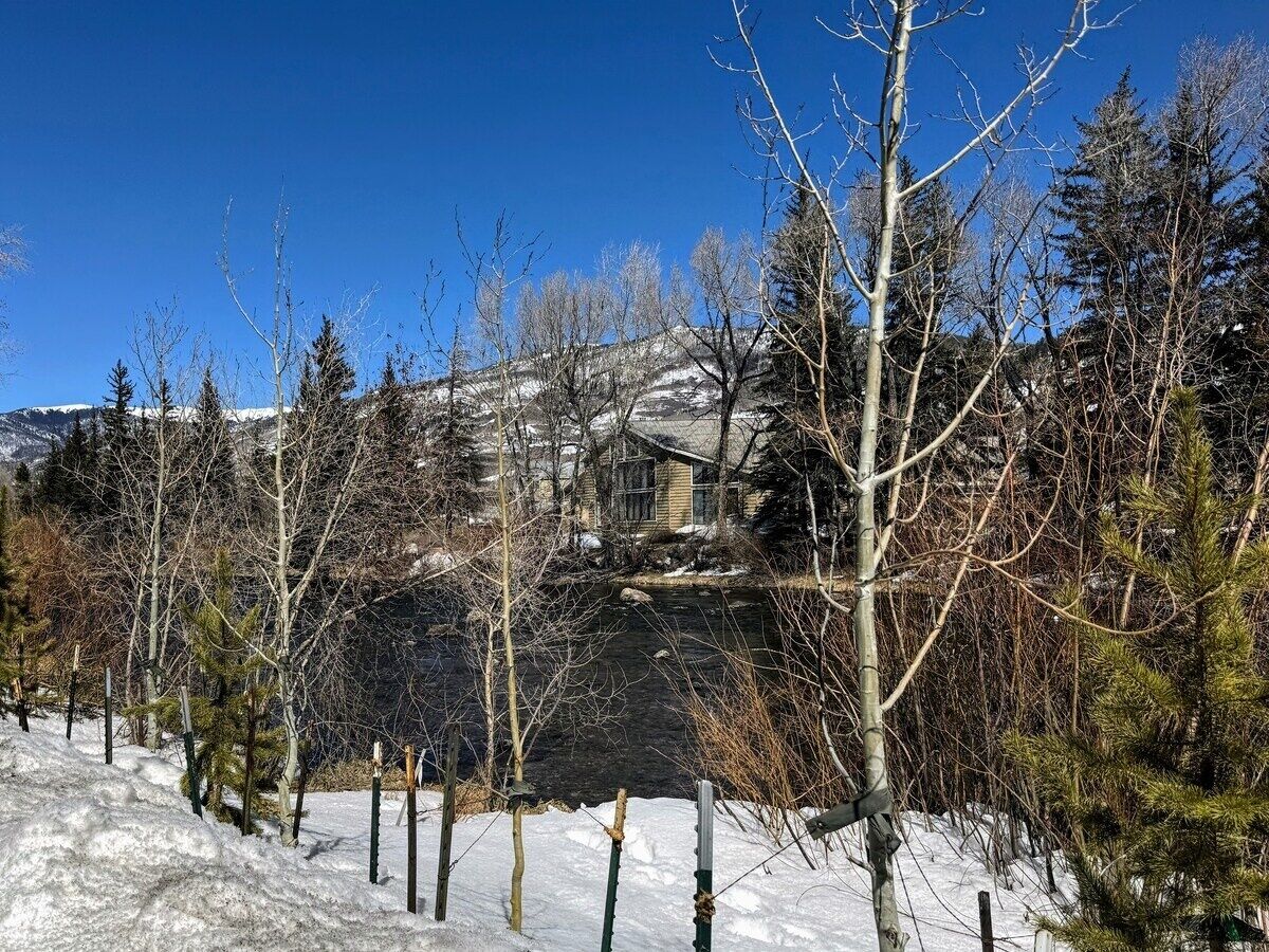 A cabin surrounded by snow-covered ground and leafless trees.
