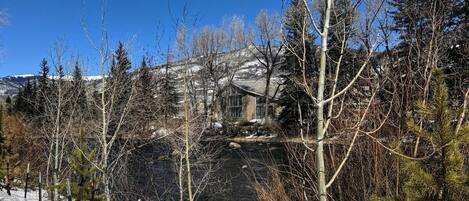 A cabin surrounded by snow-covered ground and leafless trees.