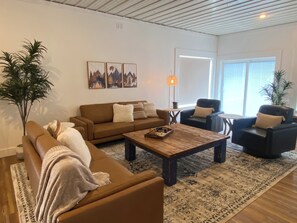 Smart TV, fireplace, books