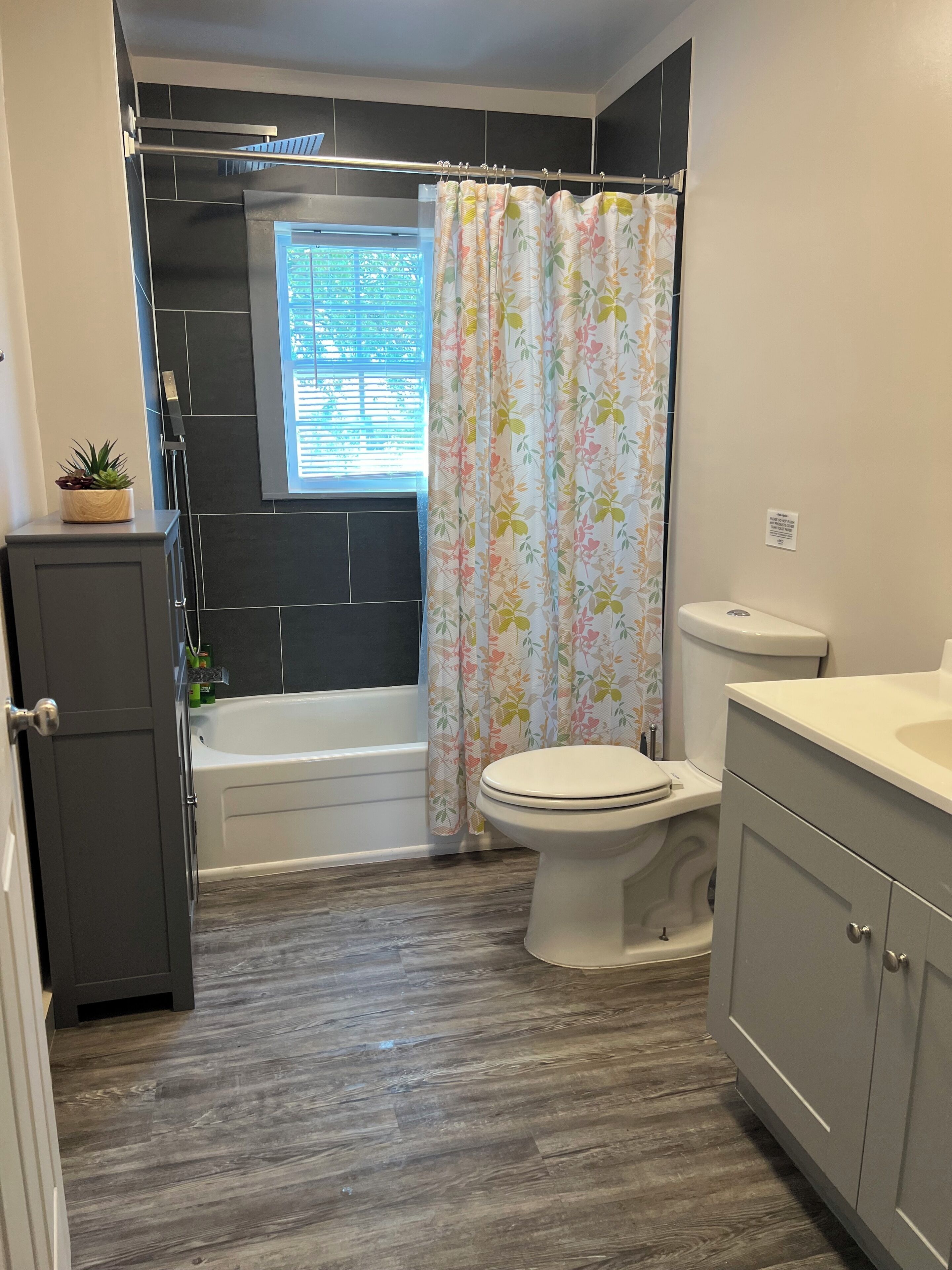 Hair dryer, bidet, towels, soap