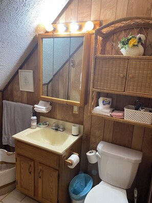 Séchoir à cheveux, serviettes fournies, savon, shampooing