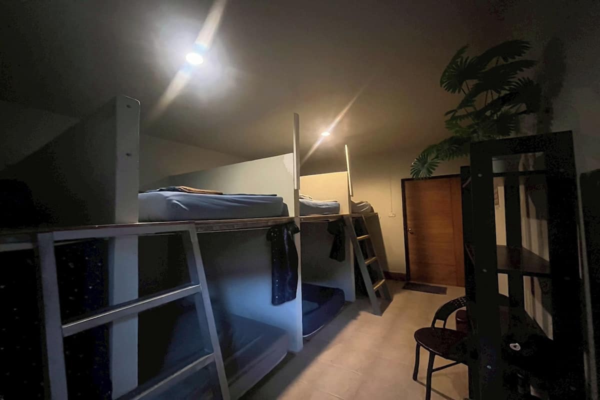 Un dormitorio con literas, una silla y una planta en maceta.