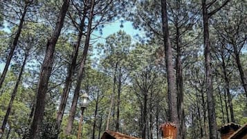 浪漫小屋 | 露台/庭院