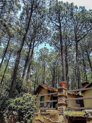 Cabin phong cách lãng mạn | Hiên