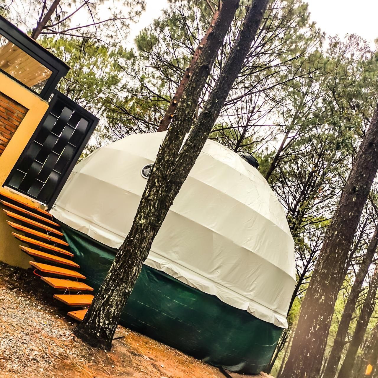 Een koepelvormige tent met een wit en groen uiterlijk, gelegen in een bebost gebied met bomen en een houten constructie in de buurt.