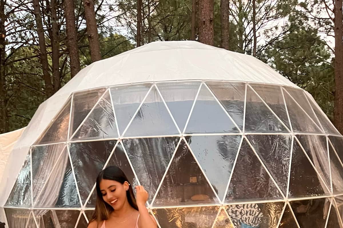 Une structure en forme de dôme géodésique dotée d’une paroi transparente, entourée d’une forêt.