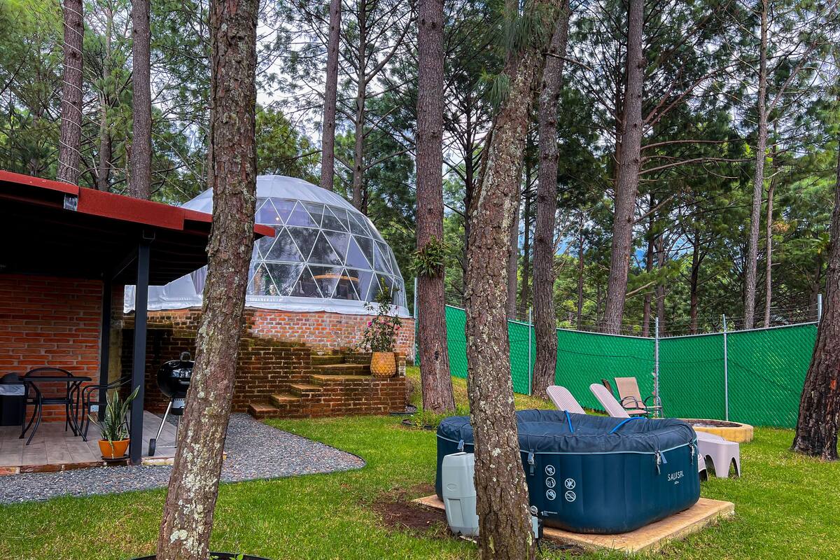 Un jardin avec une terrasse en briques, une serre en verre, un jacuzzi et un barbecue.