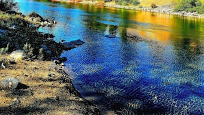 منوع