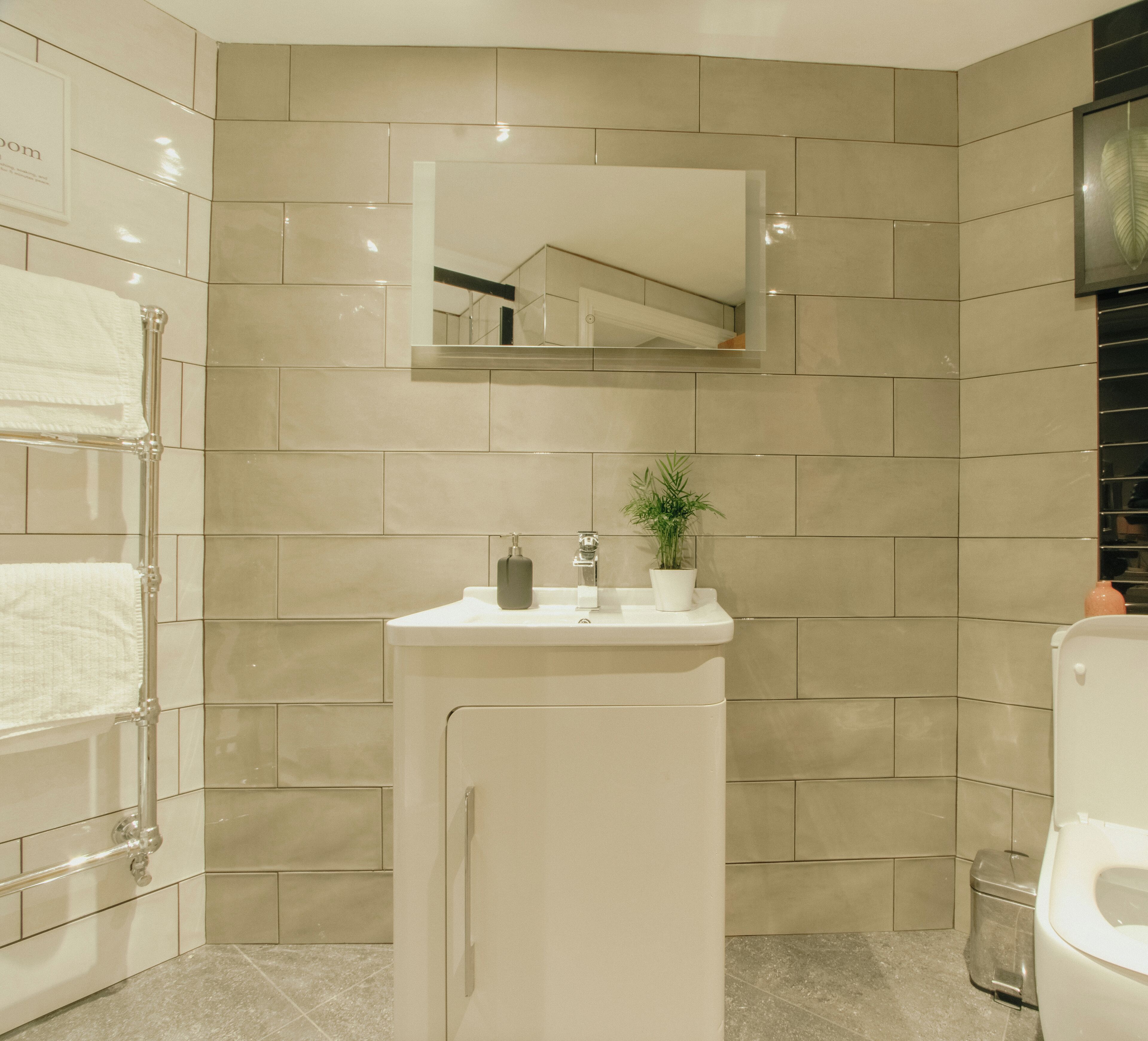 A modern bathroom with a white sink, a mirror, and a plant.
